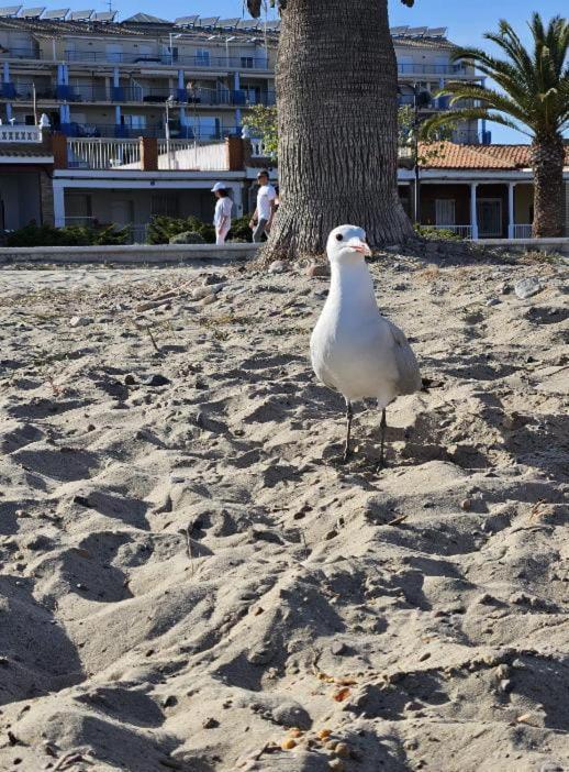 Habitacion En Piso Compartido Cerca De Playa Apartman Xilxes  Kültér fotó