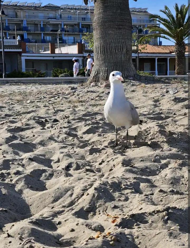 Habitacion En Piso Compartido Cerca De Playa Apartman Xilxes  Kültér fotó